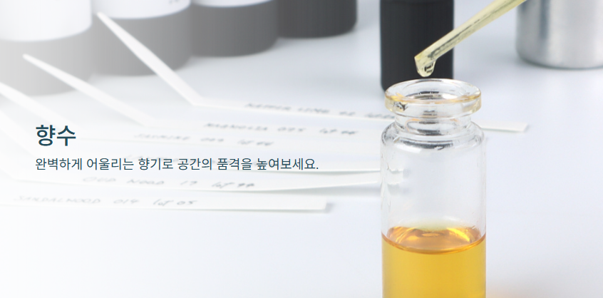 화면 캡처 2026 06 20 202817